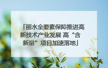 丽水全要素保障推进高新技术产业发展 高“含新量”项目加速落地