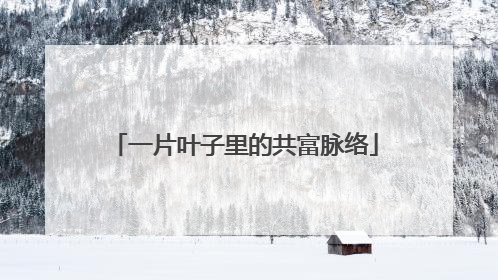 一片叶子里的共富脉络