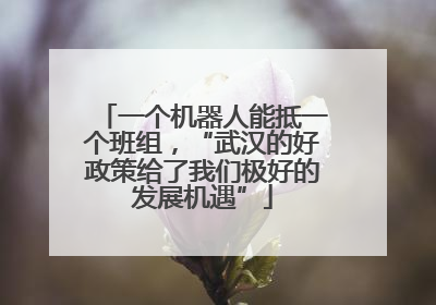 一个机器人能抵一个班组，“武汉的好政策给了我们极好的发展机遇”
