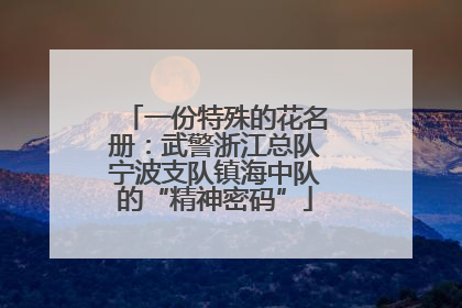 一份特殊的花名册：武警浙江总队宁波支队镇海中队的“精神密码”
