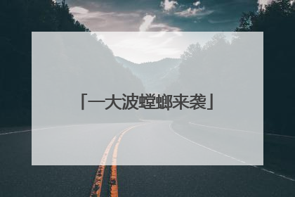 一大波螳螂来袭