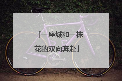 一座城和一株花的双向奔赴