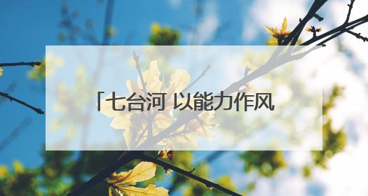 七台河 以能力作风之变赋能高质量发展