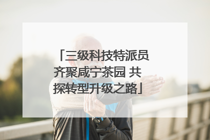 三级科技特派员齐聚咸宁茶园 共探转型升级之路