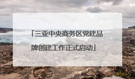 三亚中央商务区党建品牌创建工作正式启动