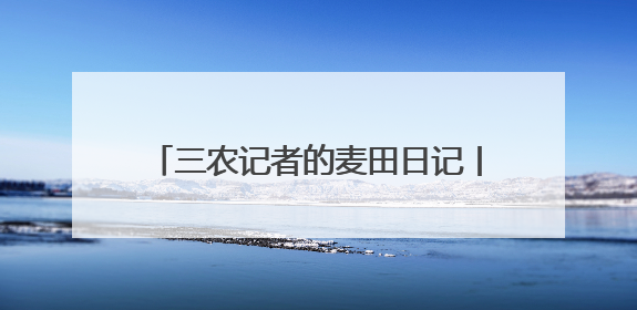 三农记者的麦田日记丨农机手的新“搭档”