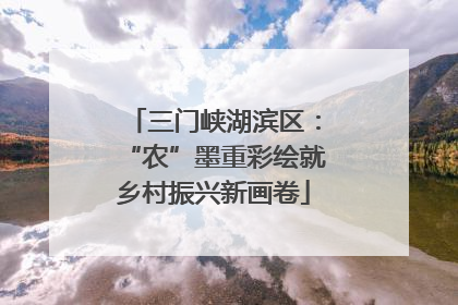 三门峡湖滨区：“农”墨重彩绘就乡村振兴新画卷