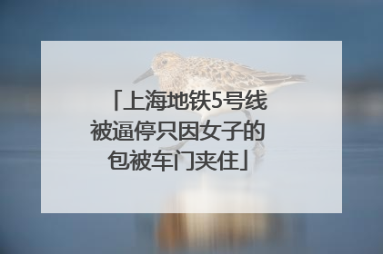 上海地铁5号线被逼停只因女子的包被车门夹住