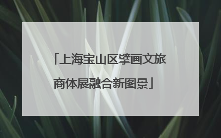 上海宝山区擘画文旅商体展融合新图景