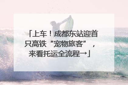 上车！成都东站迎首只高铁“宠物旅客”，来看托运全流程→