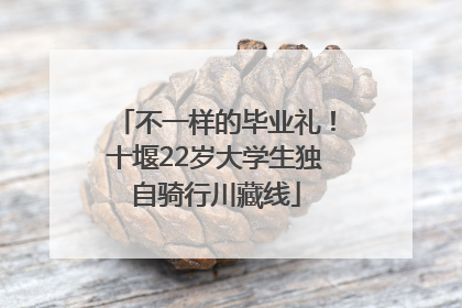 不一样的毕业礼！十堰22岁大学生独自骑行川藏线