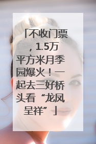 不收门票，1.5万平方米月季园爆火！一起去三好桥头看“龙凤呈祥”