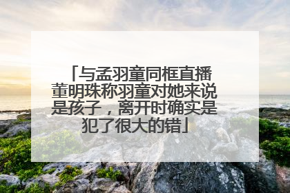 与孟羽童同框直播 董明珠称羽童对她来说是孩子，离开时确实是犯了很大的错