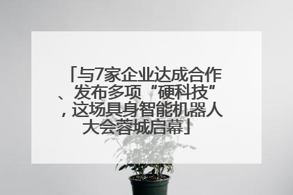 与7家企业达成合作、发布多项“硬科技”，这场具身智能机器人大会蓉城启幕