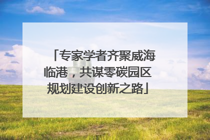 专家学者齐聚威海临港，共谋零碳园区规划建设创新之路