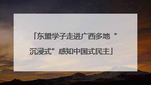 东盟学子走进广西多地“沉浸式”感知中国式民主