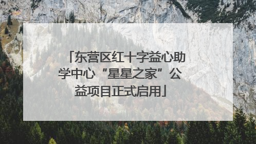 东营区红十字益心助学中心“星星之家”公益项目正式启用