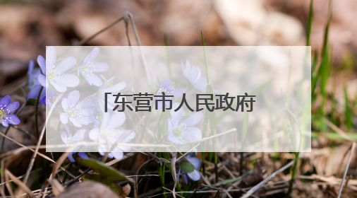 东营市人民政府最新任职通知