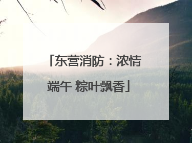 东营消防：浓情端午 粽叶飘香