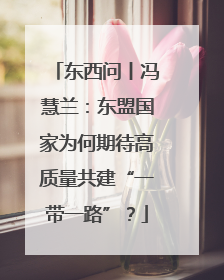 东西问丨冯慧兰：东盟国家为何期待高质量共建“一带一路”？