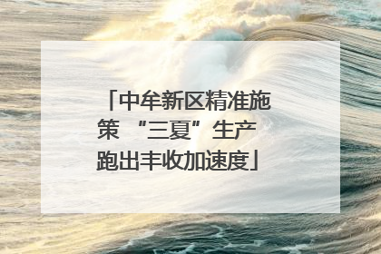 中牟新区精准施策 “三夏”生产跑出丰收加速度