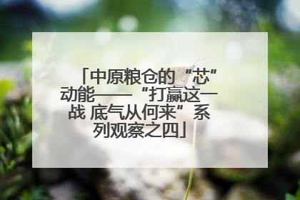 中原粮仓的“芯”动能——“打赢这一战 底气从何来”系列观察之四