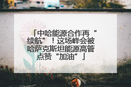中哈能源合作再“续航”！这场峰会被哈萨克斯坦能源高管点赞“加油”