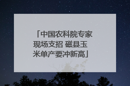 中国农科院专家现场支招 磁县玉米单产要冲新高