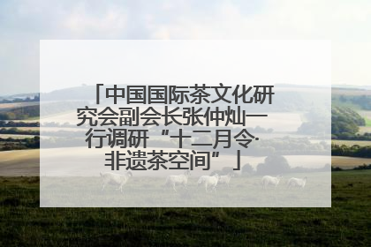 中国国际茶文化研究会副会长张仲灿一行调研“十二月令·非遗茶空间”