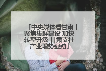 中央媒体看甘肃丨聚焦集群建设 加快转型升级 甘肃支柱产业增势强劲