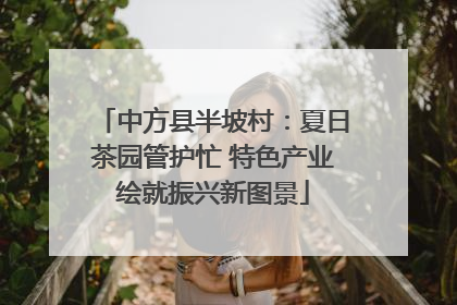 中方县半坡村：夏日茶园管护忙 特色产业绘就振兴新图景
