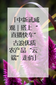 中新武威观｜搭上“直播快车” 古浪优质农产品“云端”走俏