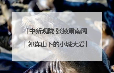 中新观陇·张掖肃南周｜祁连山下的小城大爱