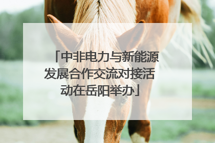 中非电力与新能源发展合作交流对接活动在岳阳举办