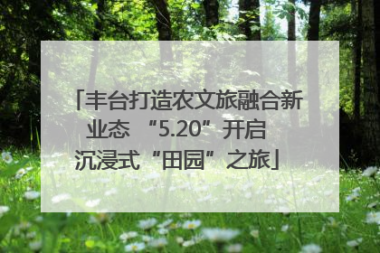 丰台打造农文旅融合新业态 “5.20”开启沉浸式“田园”之旅