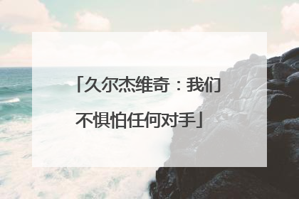 久尔杰维奇：我们不惧怕任何对手