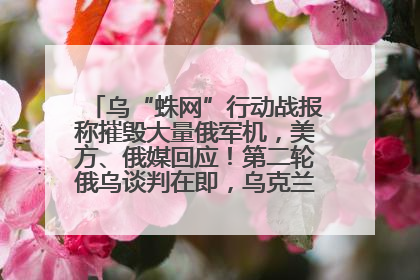 乌“蛛网”行动战报称摧毁大量俄军机，美方、俄媒回应！第二轮俄乌谈判在即，乌克兰提出三大诉求