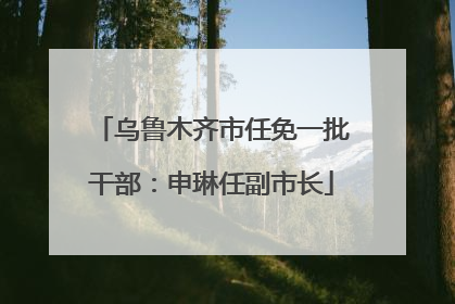 乌鲁木齐市任免一批干部：申琳任副市长