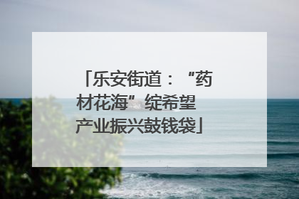 乐安街道：“药材花海”绽希望 产业振兴鼓钱袋