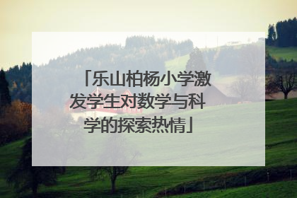 乐山柏杨小学激发学生对数学与科学的探索热情