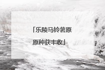 乐陵马铃薯原原种获丰收