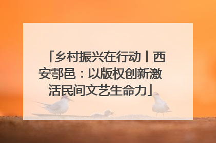 乡村振兴在行动丨西安鄠邑：以版权创新激活民间文艺生命力