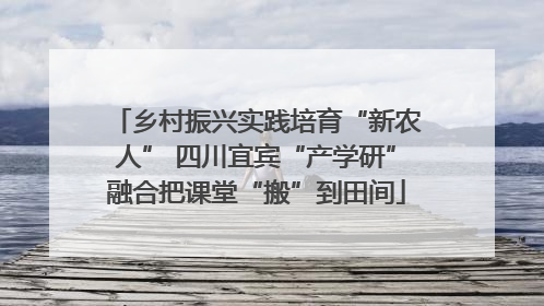 乡村振兴实践培育“新农人” 四川宜宾“产学研”融合把课堂“搬”到田间
