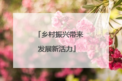 乡村振兴带来发展新活力