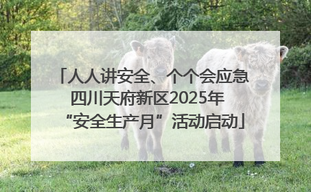 人人讲安全、个个会应急 四川天府新区2025年“安全生产月”活动启动