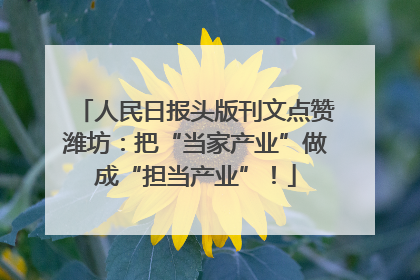 人民日报头版刊文点赞潍坊：把“当家产业”做成“担当产业”！