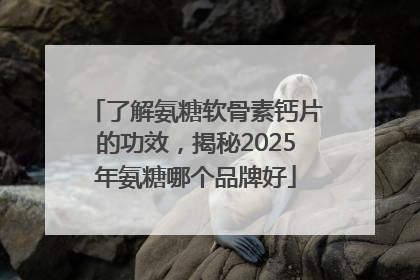 了解氨糖软骨素钙片的功效，揭秘2025年氨糖哪个品牌好