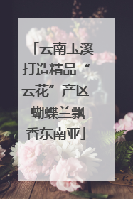 云南玉溪打造精品“云花”产区 蝴蝶兰飘香东南亚