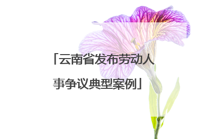 云南省发布劳动人事争议典型案例