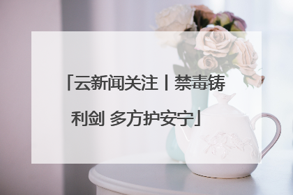 云新闻关注丨禁毒铸利剑 多方护安宁